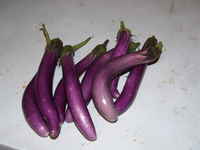 M_eggplant